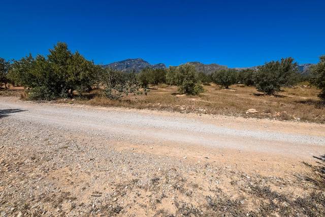 The two plots of land total 840 square meters and 630 square meters