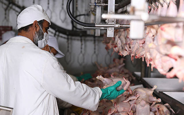 Delmon to raise production to 30,000 chickens mid-Sept