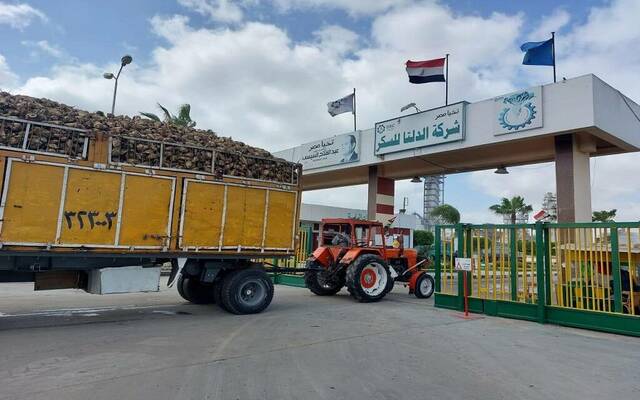 الدلتا للسكر- أرشيفية