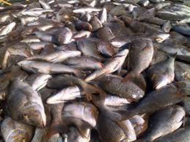 الصورة من رويترز - آريبيان آي