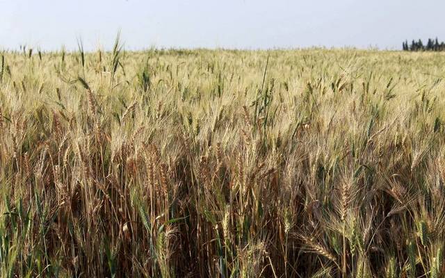 Net profit amounted to EGP 55.97 million in the first 10 months of EY16/17