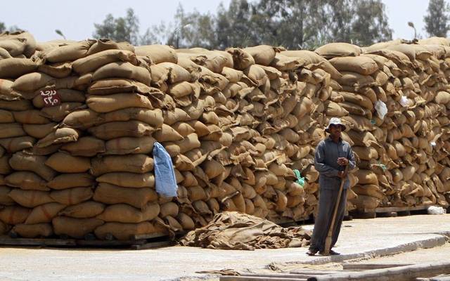 Revenues reached EGP 46.5 million in Q1