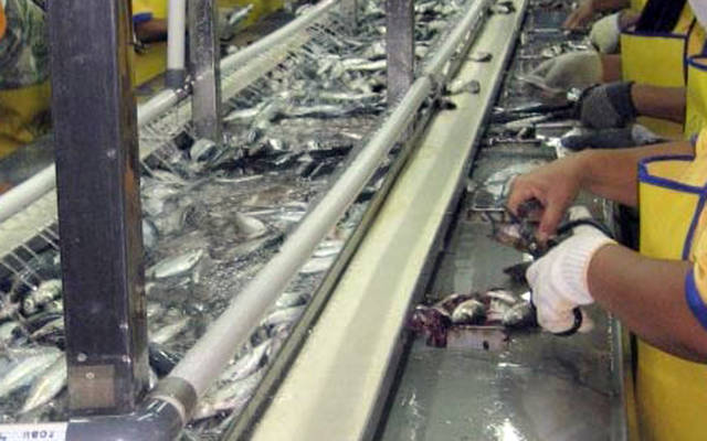 الحق في التوزيع ينتهي 12 سبتمبر الجاري