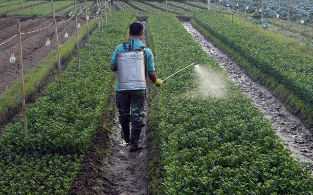 إجمالي التوزيع يقدر بنحو 1.44 مليون دينار - الصورة من رويترز أريبيان آي