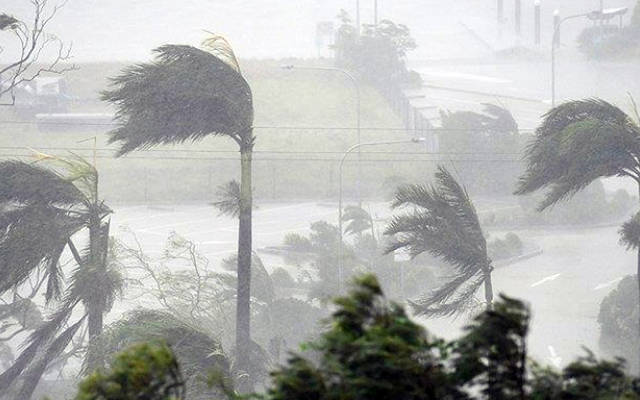 الإعصار تسبب في خسائر لعدة شركات مدرجة بالبورصة