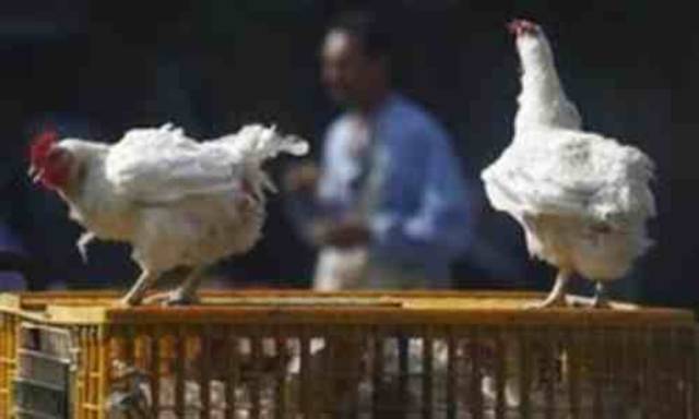 Photo Credit: Arabianeye - Reuters.