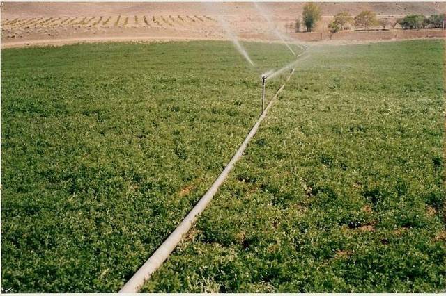 الصورة من رويترز - آريبيان آي